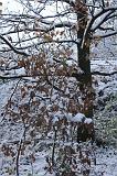 Winterweer_050