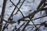 Winterweer_051