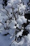 Winterweer_052