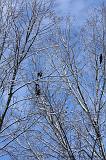 Winterweer_053