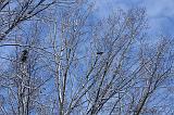 Winterweer_054