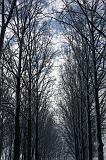 Winterweer_057