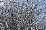 Winterweer_059