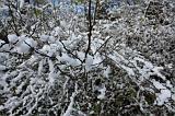 Winterweer_060