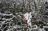 Winterweer_061