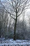 Winterweer_063