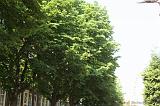 2008-06-01_de_heks_001