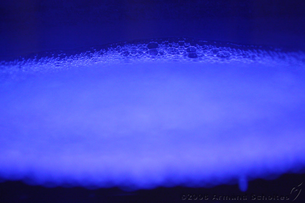 2008-05-06_bubbles_001.jpg