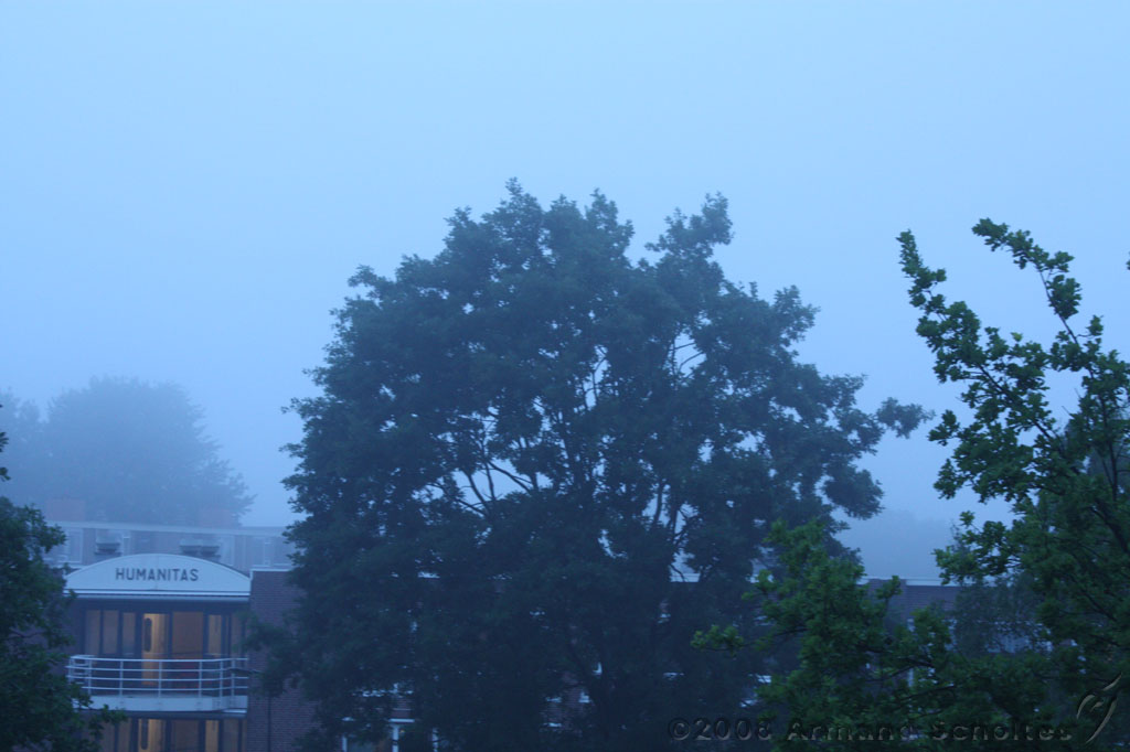 2008-06-04_fog_001.jpg