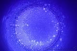 2008-05-06_bubbles_003