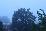2008-06-04_fog_001
