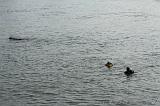 2008-09-29_Deventer_071