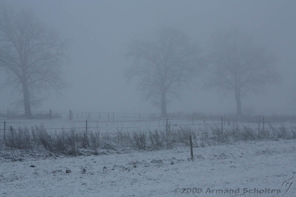 Mist_002.jpg
