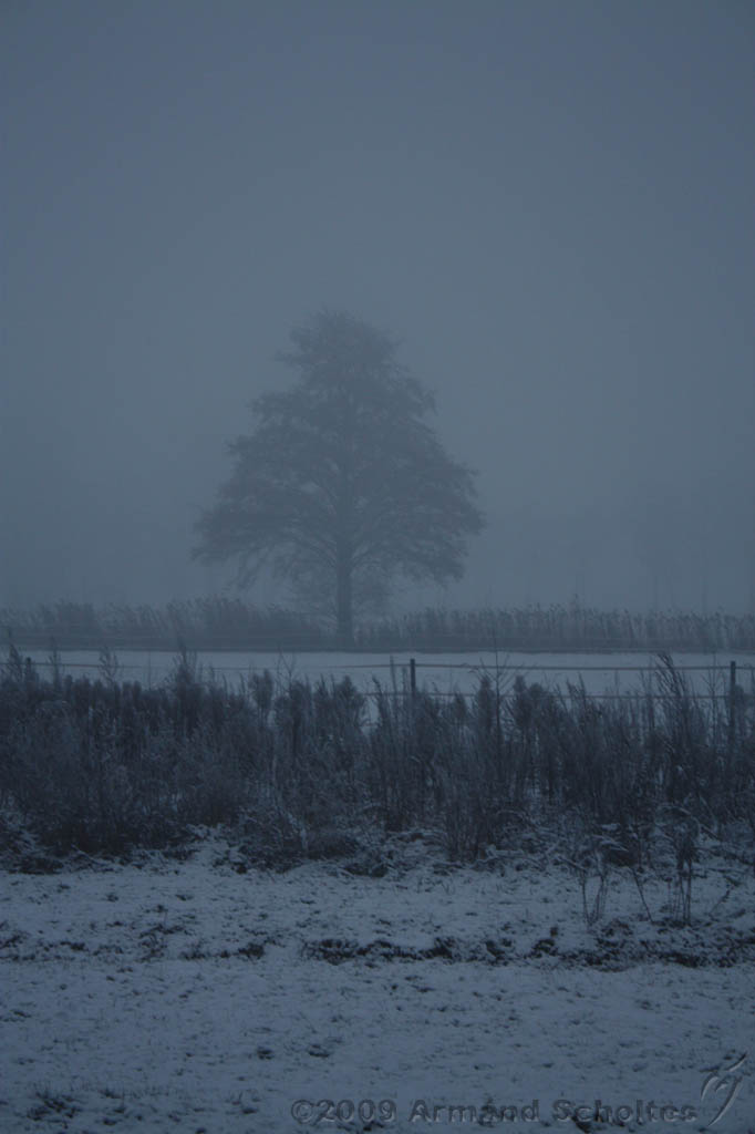 Mist_004.jpg