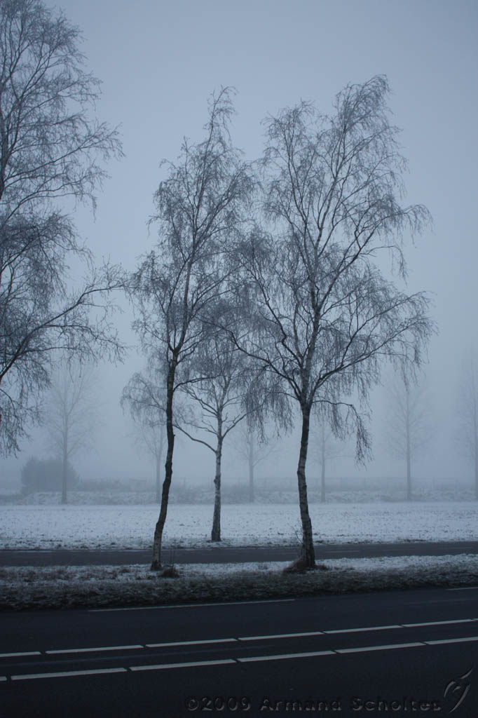 Mist_005.jpg