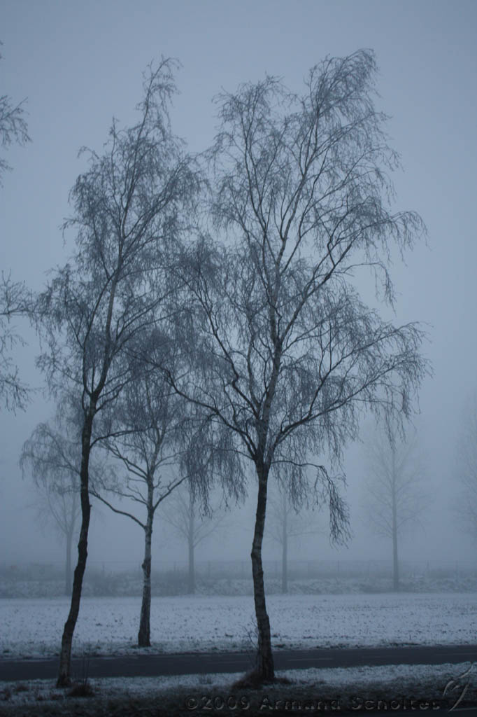 Mist_006.jpg