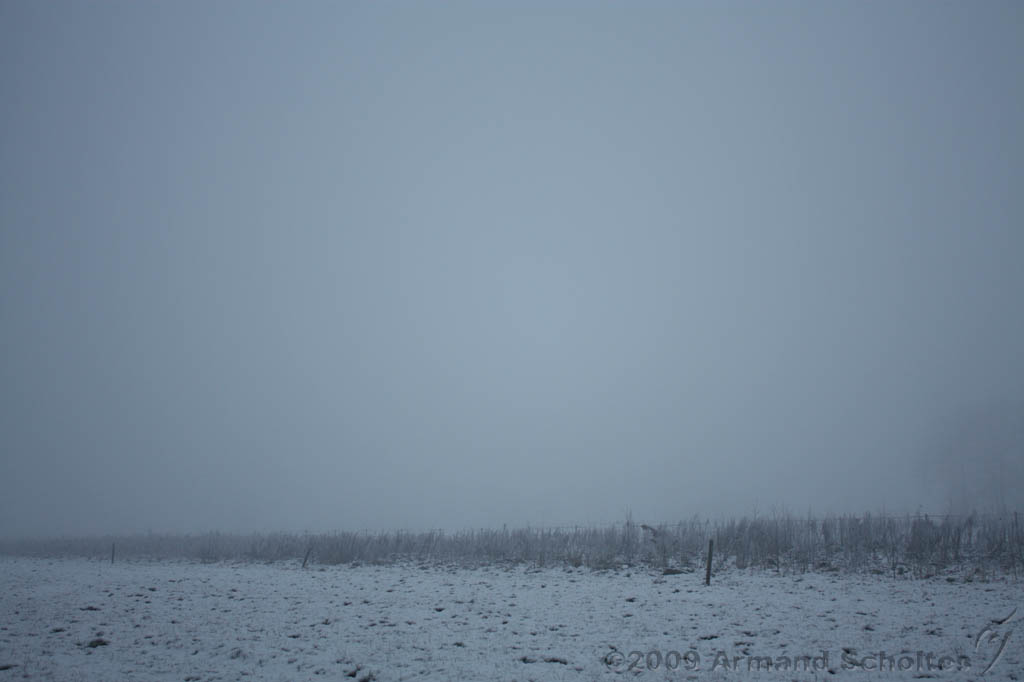 Mist_007.jpg