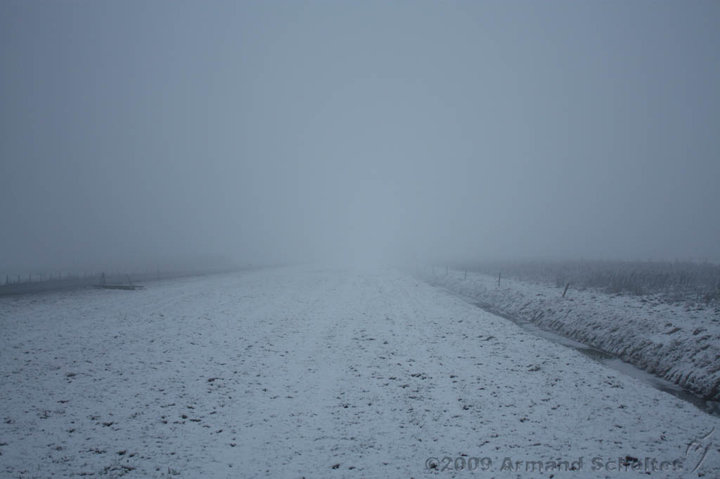 Mist_008.jpg