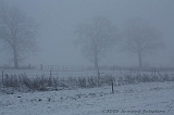 Mist_002