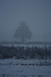Mist_004
