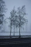 Mist_005