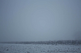 Mist_007