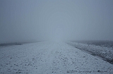 Mist_008