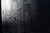 IJsbloem_004