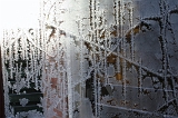 IJsbloem_005