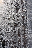 IJsbloem_009