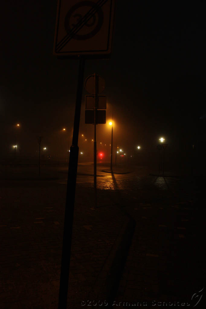 Nachtmist_008.jpg