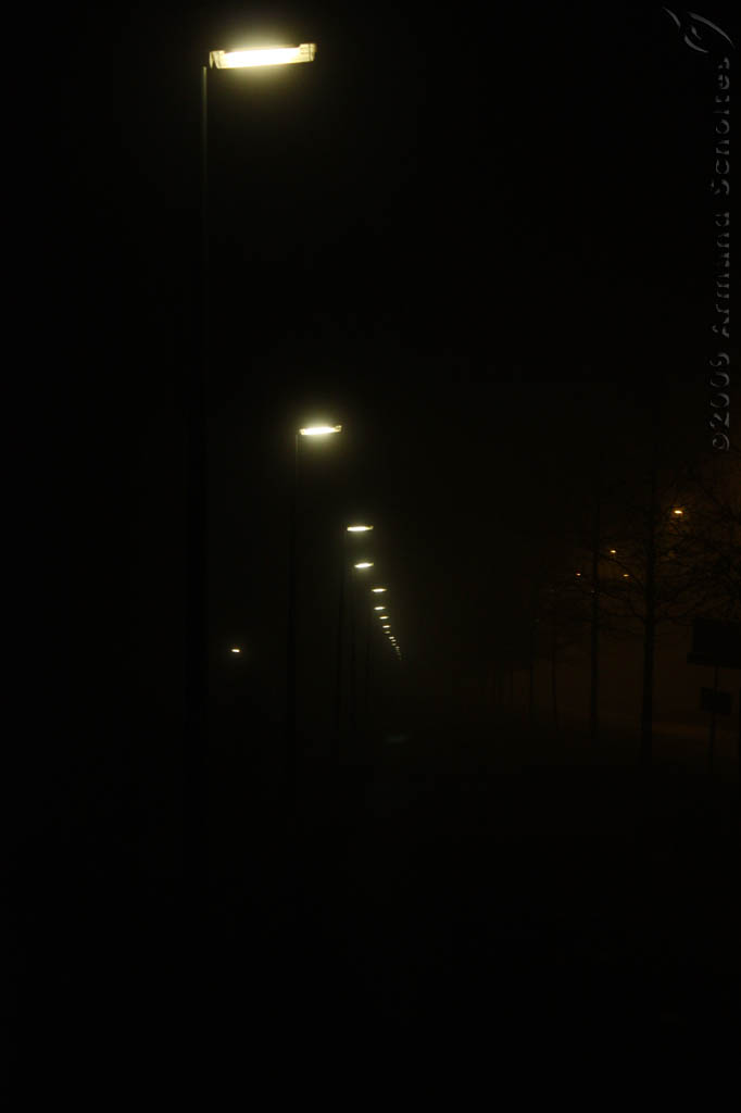 Nachtmist_012.jpg