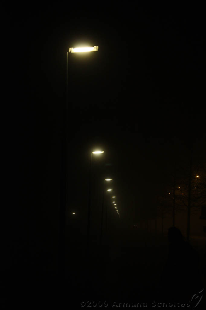 Nachtmist_014.jpg