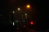 Nachtmist_004