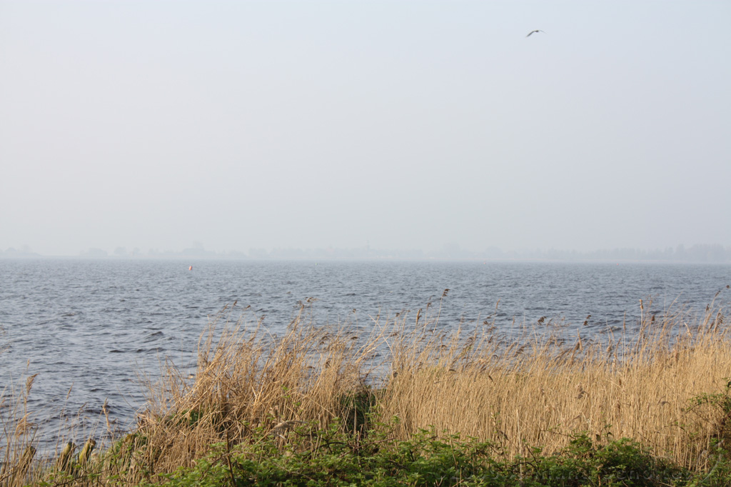 Tjeuker_Meer_001.jpg