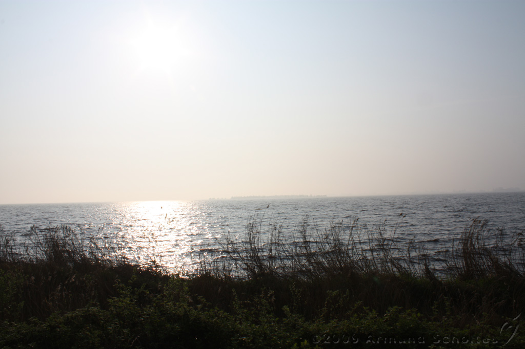 Tjeuker_Meer_010.jpg