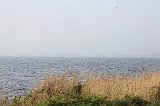 Tjeuker_Meer_001