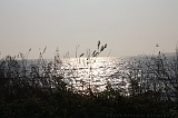 Tjeuker_Meer_006