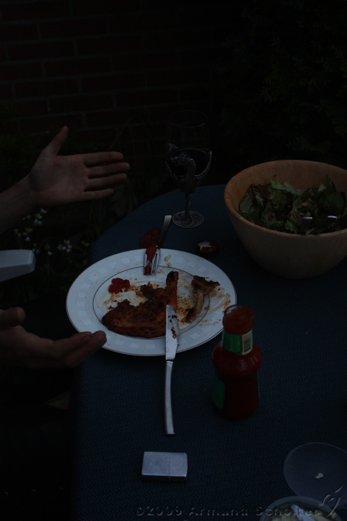 2009-04-13_BBQ_006.jpg