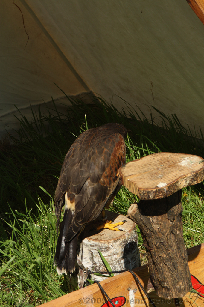 FantasyFair_2009_056.jpg