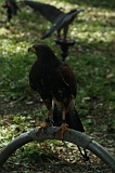 FantasyFair_2009_042