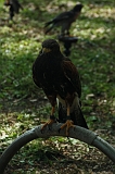FantasyFair_2009_043