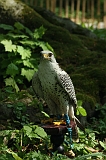 FantasyFair_2009_048