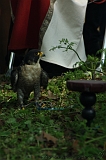 FantasyFair_2009_050