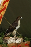 FantasyFair_2009_054
