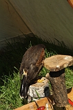 FantasyFair_2009_056