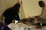 FantasyFair_2009_167