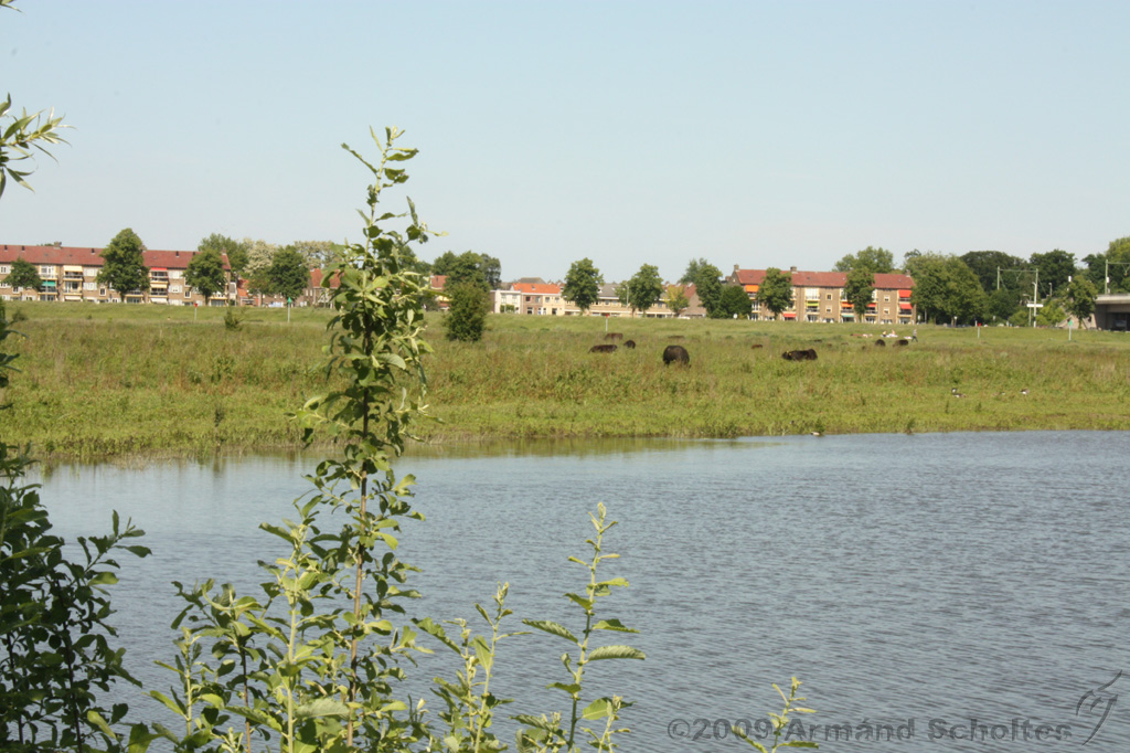 IJssel_001.jpg
