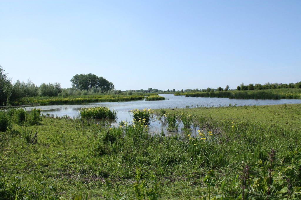 IJssel_004.jpg