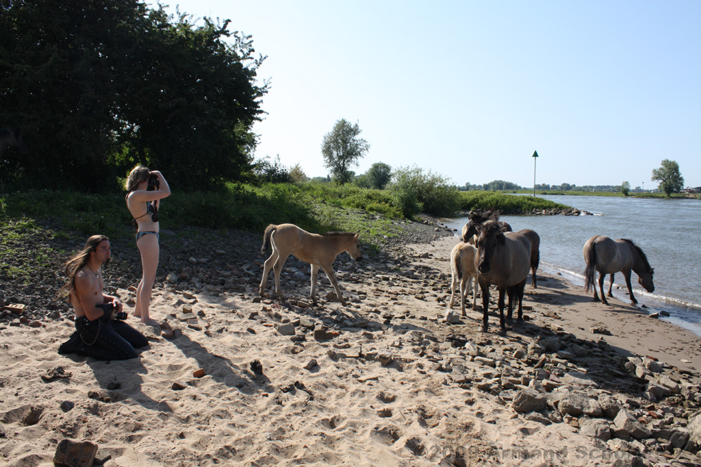 IJssel_071.jpg